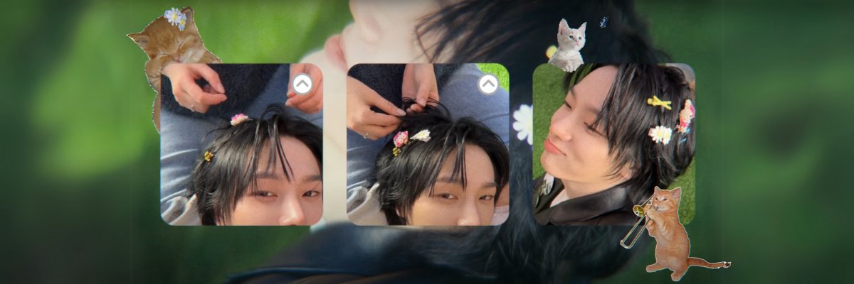 yeppifluffy's profile banner image