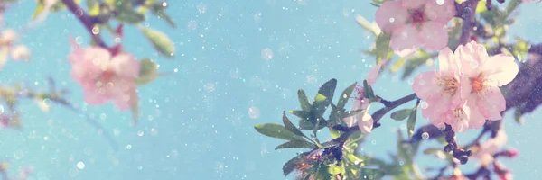 Jorgelozanos banner