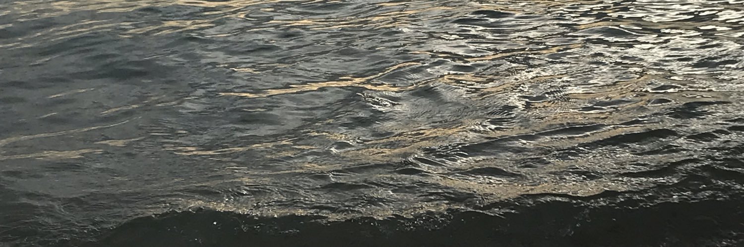 wwttnn1's profile banner image