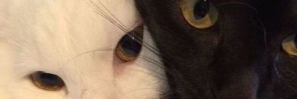 cbelennn's profile banner image