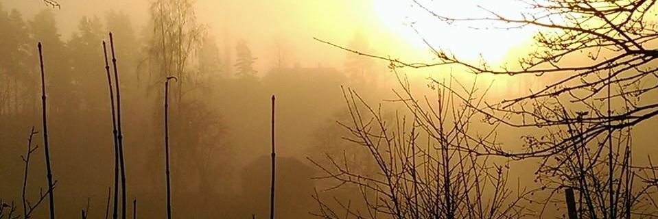 Helena Hjertén banner