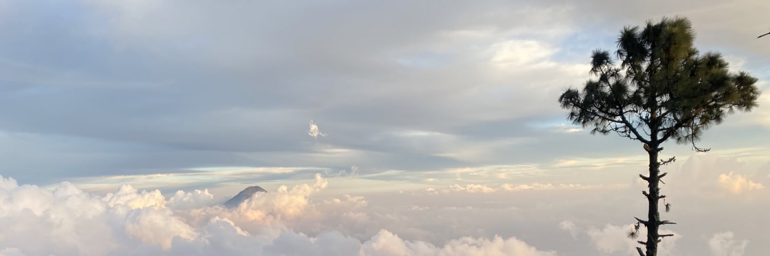 arantzapol's profile banner image