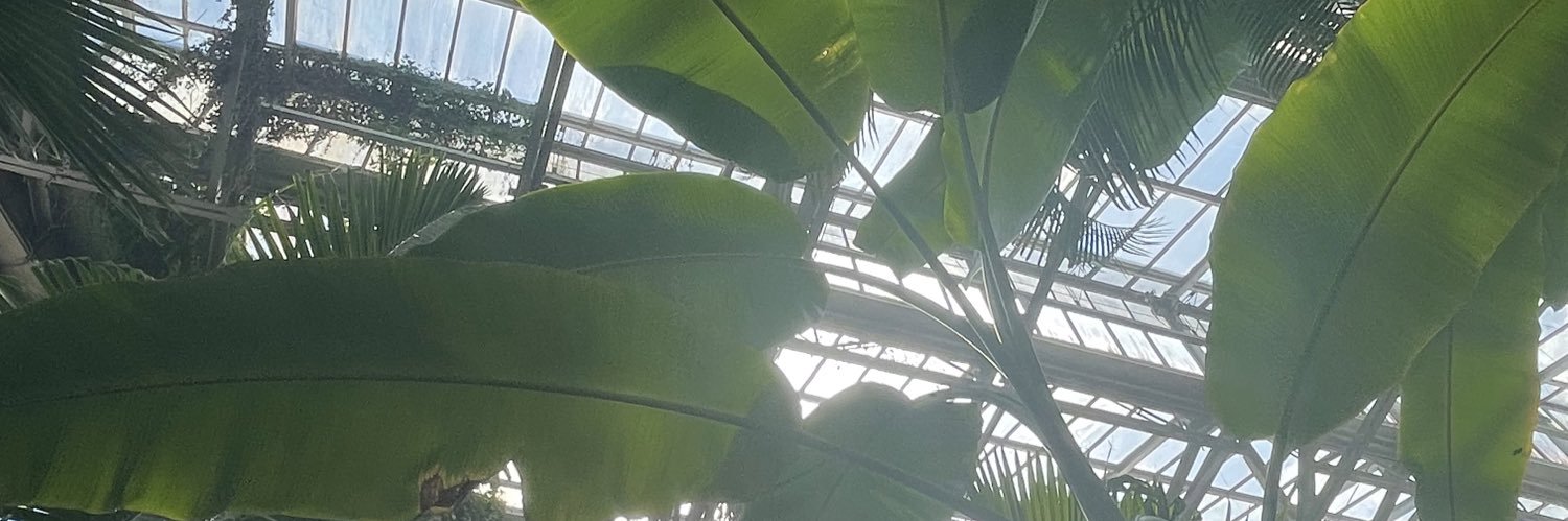 Mariyahmarieeee's profile banner image