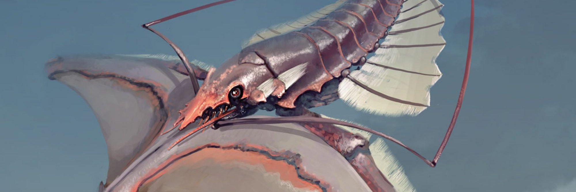 AnneDraaisma's profile banner image