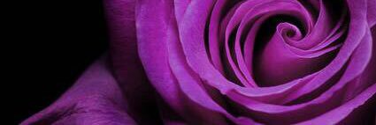 s7003292's profile banner image