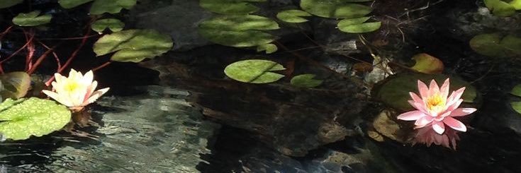 uchiiaga's profile banner image