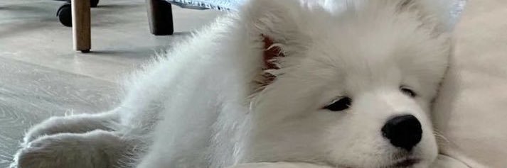 🐻‍❄️ PN 🐻‍❄️ ft. แม่น้องออม (เอินไอร่า) banner