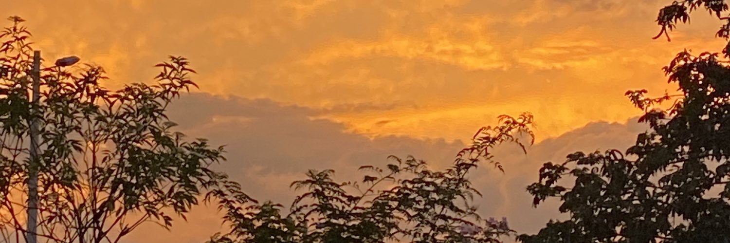 Daniela Játiva banner