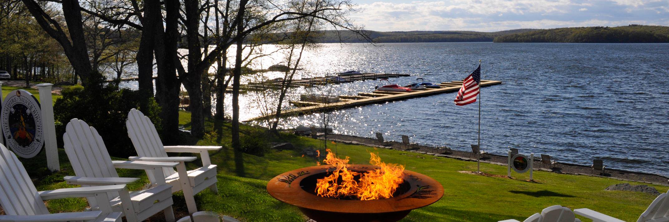 Silver Birches banner