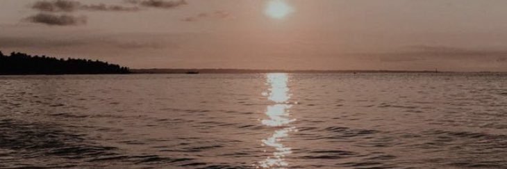 R0G_511's profile banner image