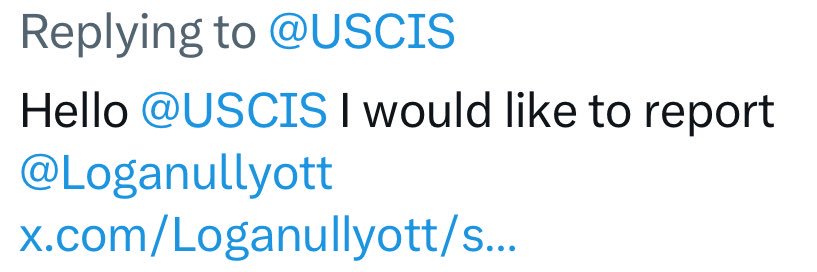 Logan Ullyott banner