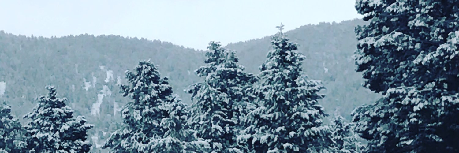 arika_ingle's profile banner image
