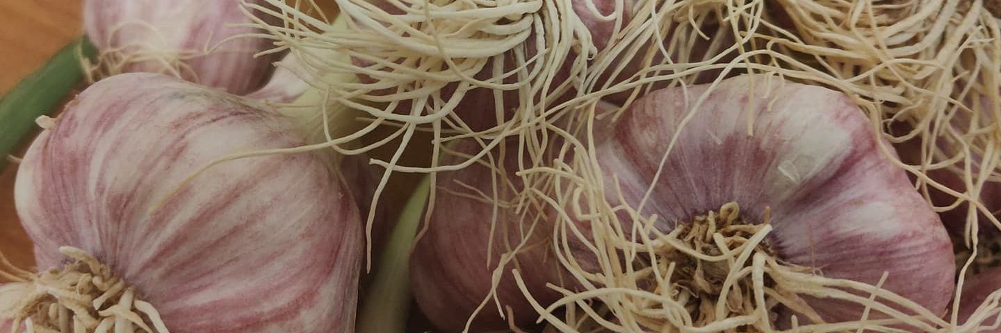 Chen Rosen Nathaniel banner