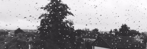 camrencabeYo97's profile banner image