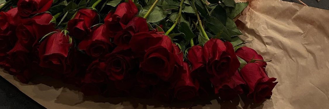 Cmariana222's profile banner image