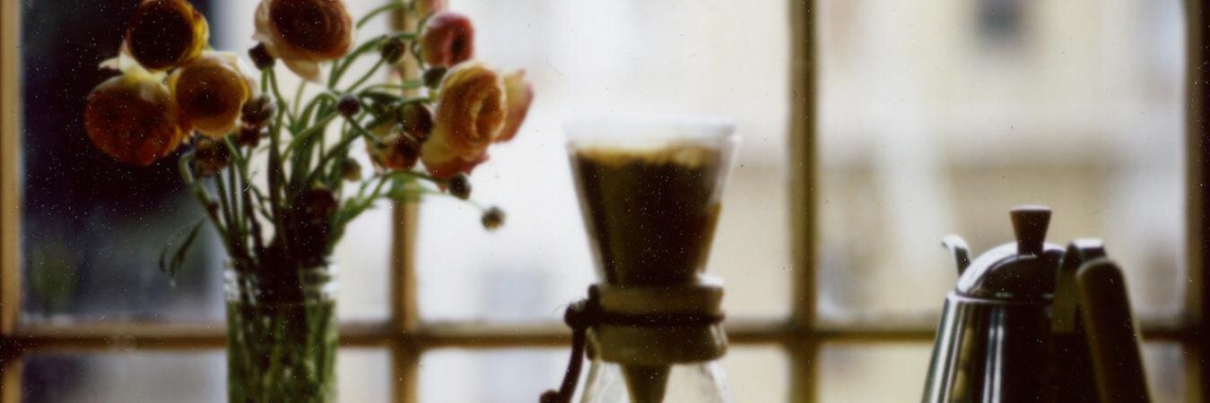 fabiola_solano's profile banner image