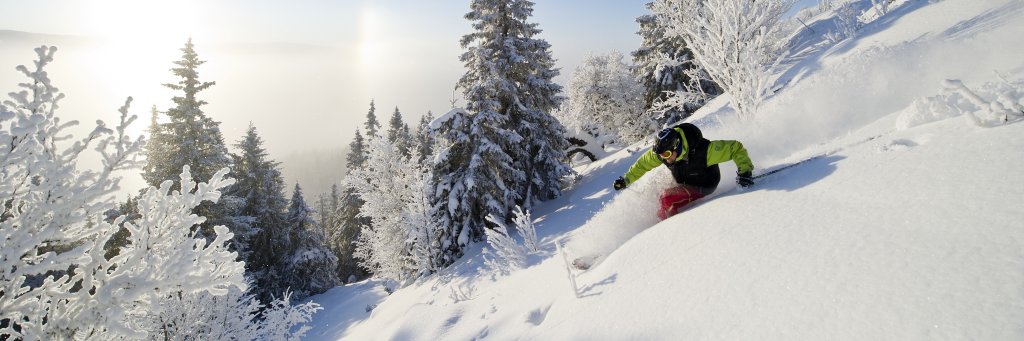 Kvitfjell banner