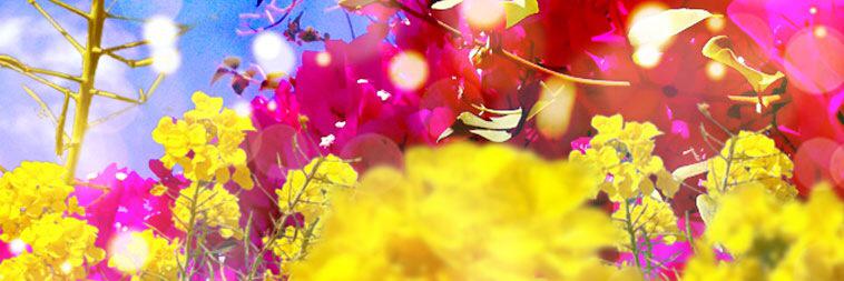 D_tra125's profile banner image