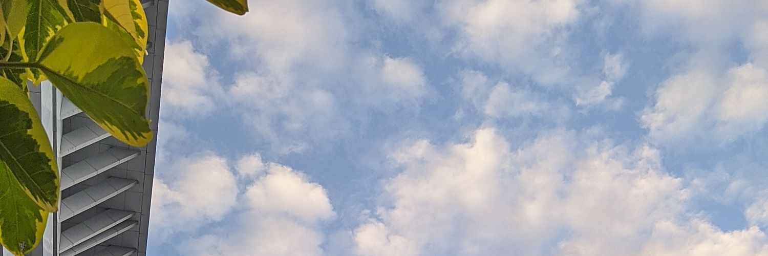 b0d0amatt's profile banner image