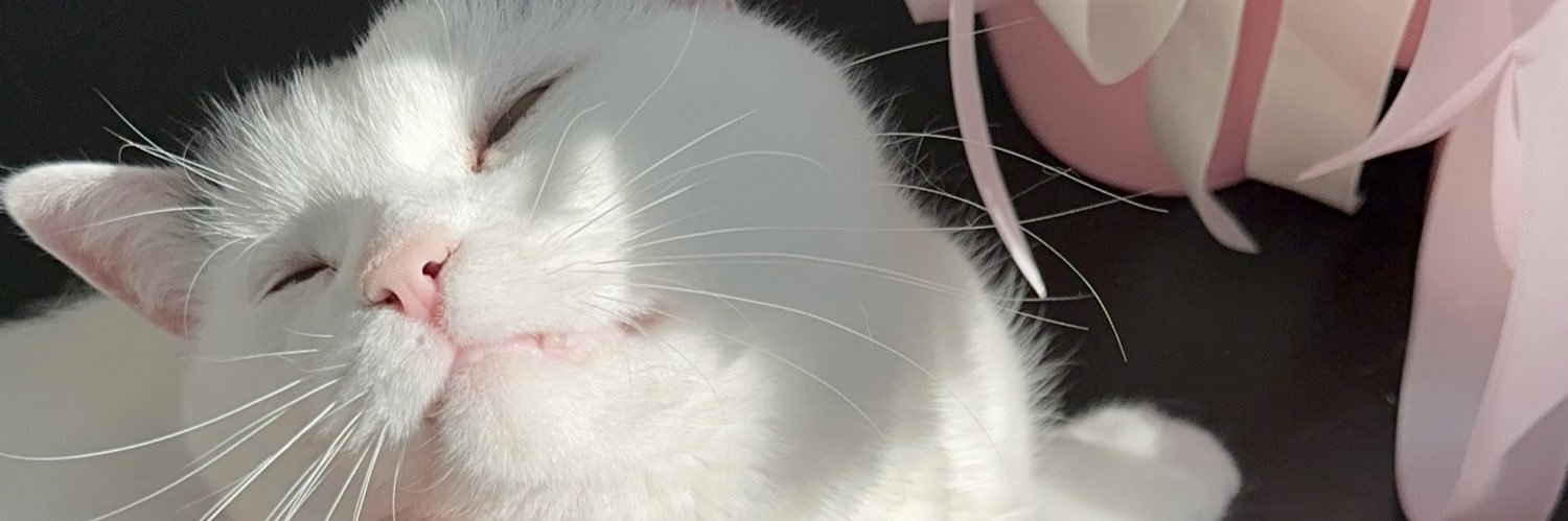 пивожінка banner