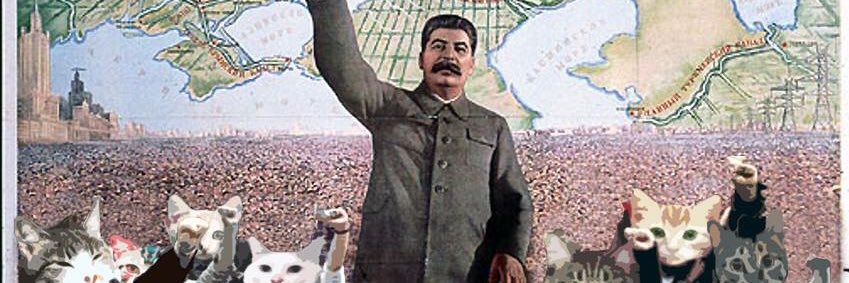 господин медвежонок's banner