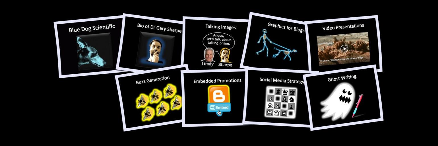 bluedogsci's profile banner image