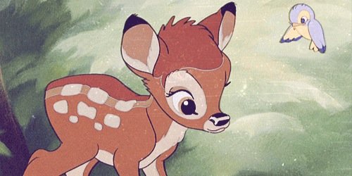 mintnims's profile banner image