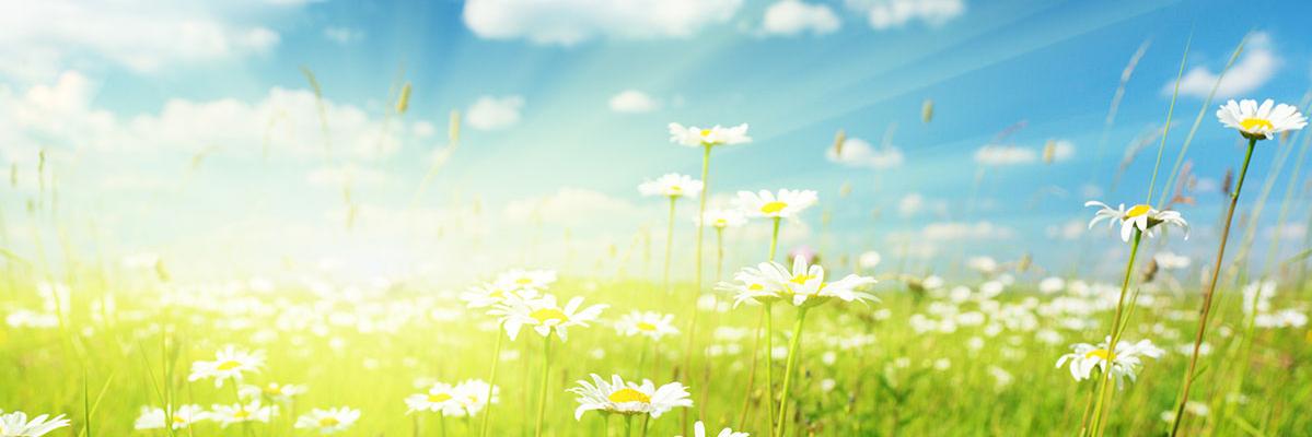 ecocoffin's profile banner image