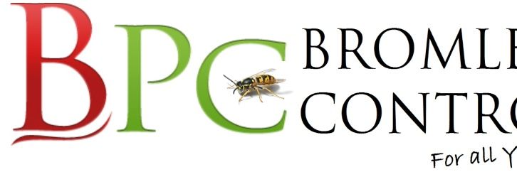 Bromley Pest Control banner