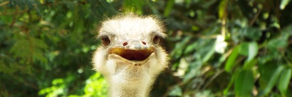 eyesshare Profile Banner