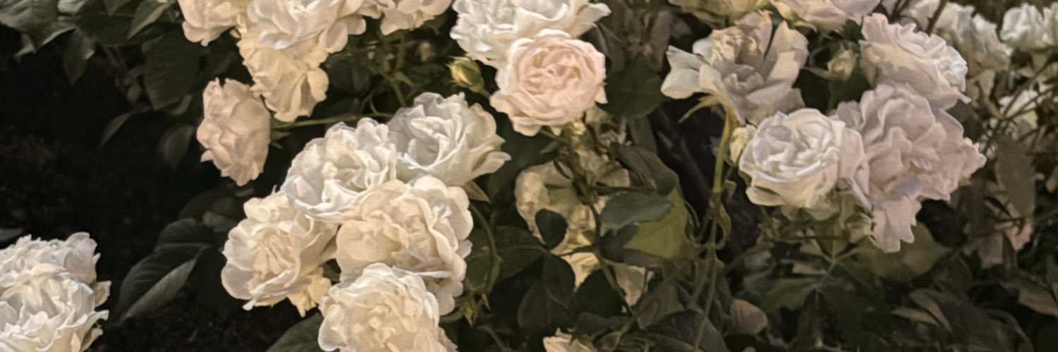 _tabula_ra_sa's profile banner image