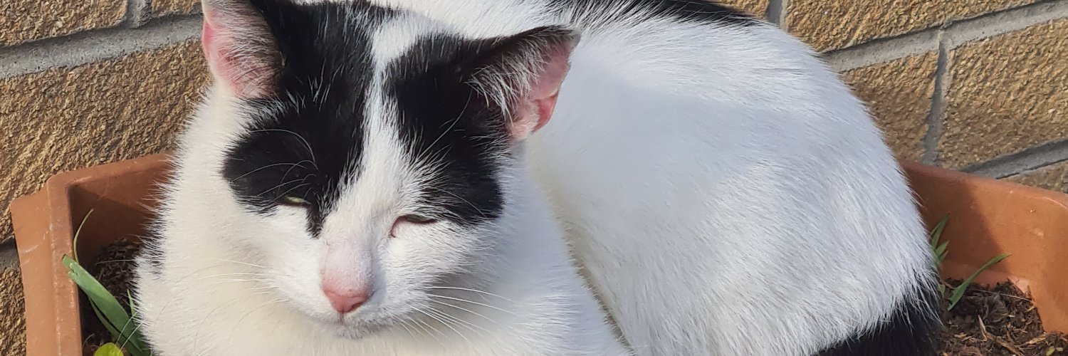 Jitua_'s profile banner image