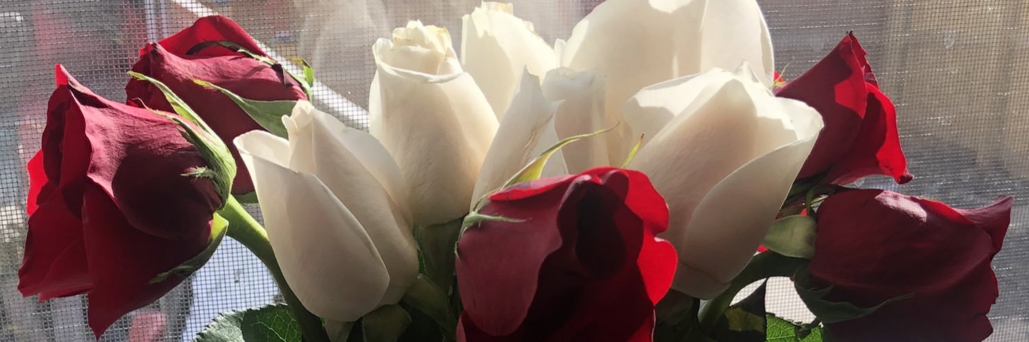 Niamani_'s profile banner image
