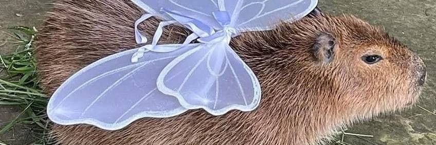 교하(나스) banner