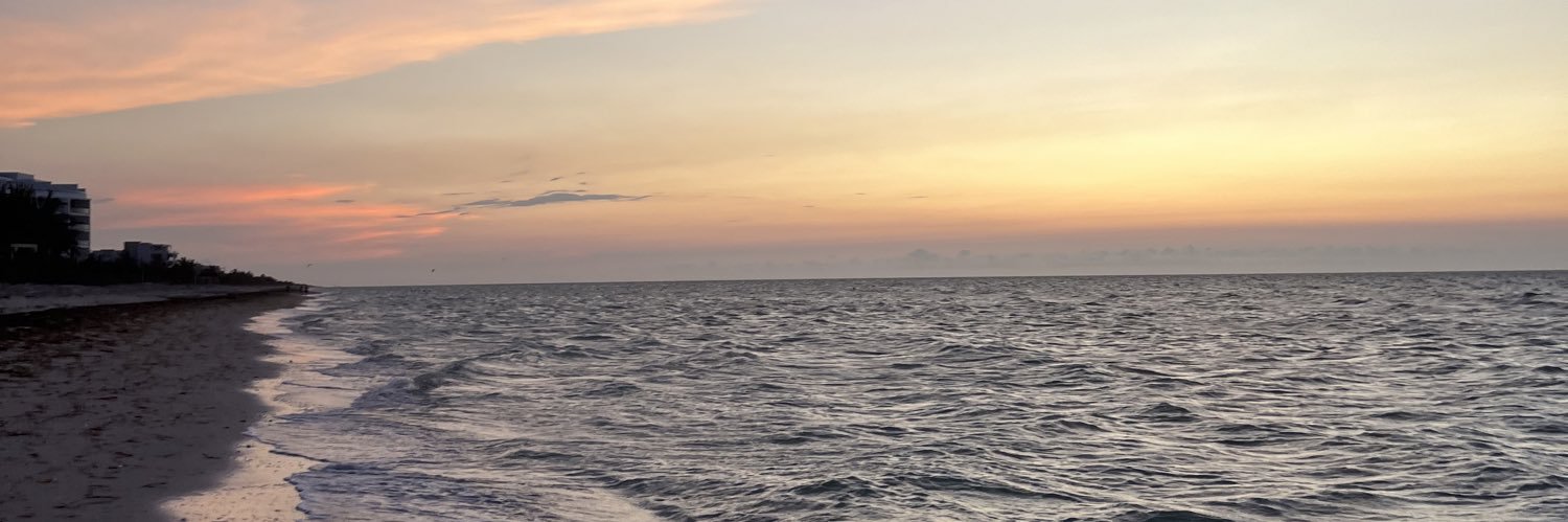 marinavillegas's profile banner image