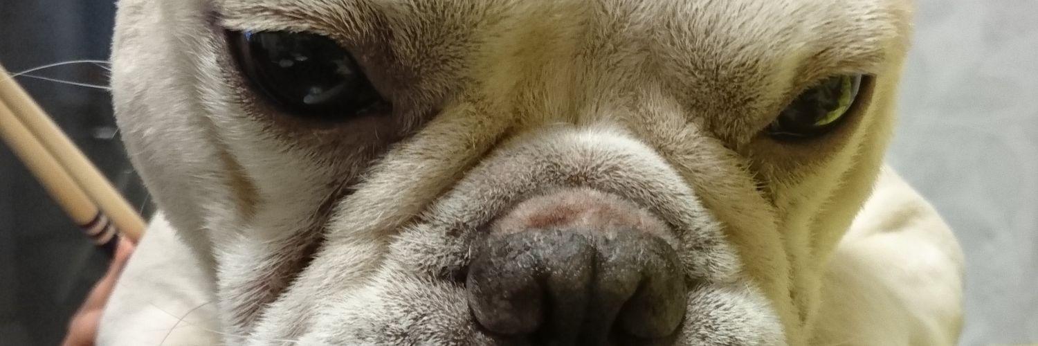 あき banner