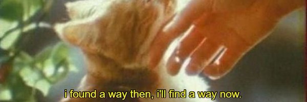 nuivalentine Profile Banner