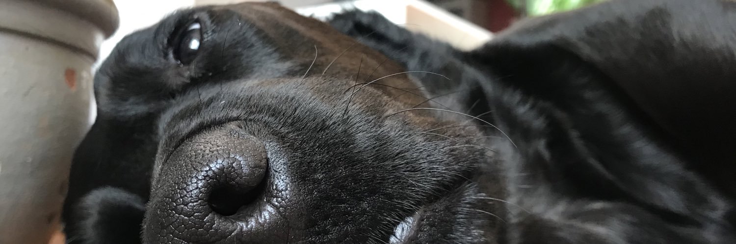 EvanFitzz's profile banner image