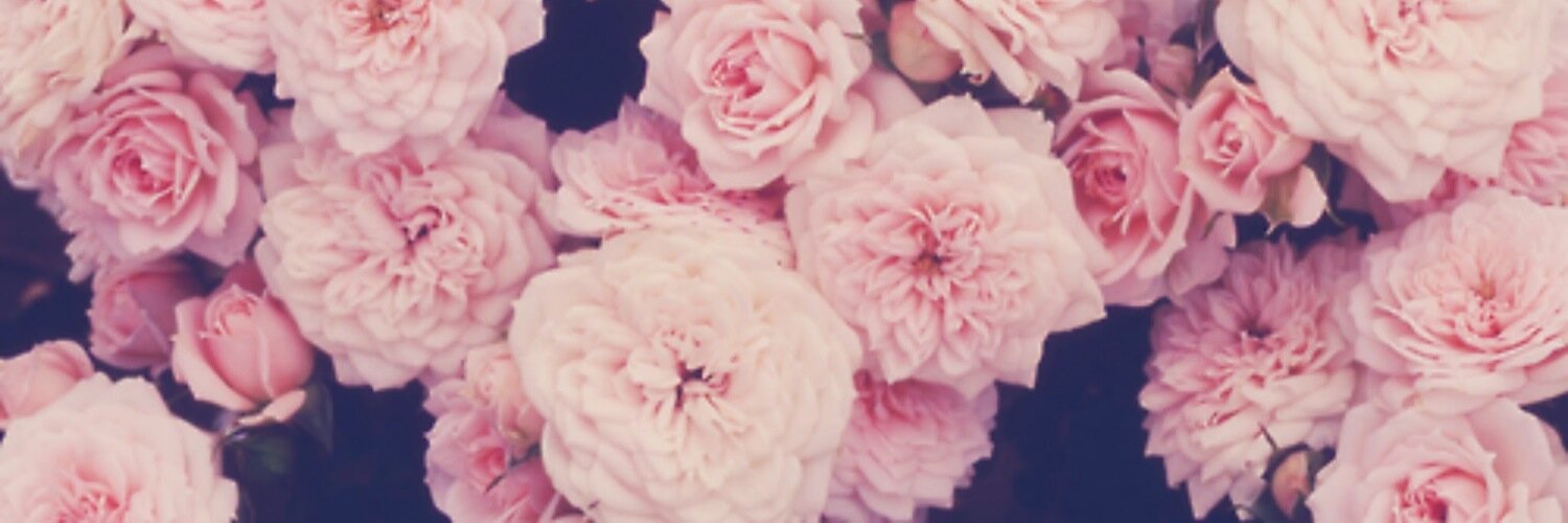 agarciaborja's profile banner image