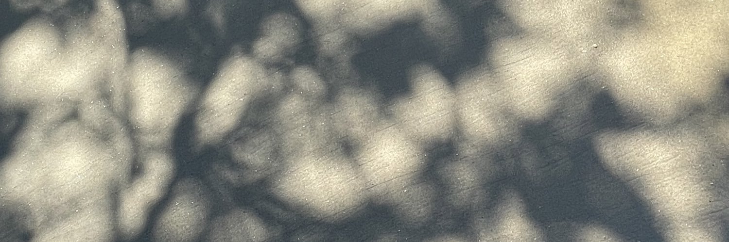 PinchiRodriguez's profile banner image