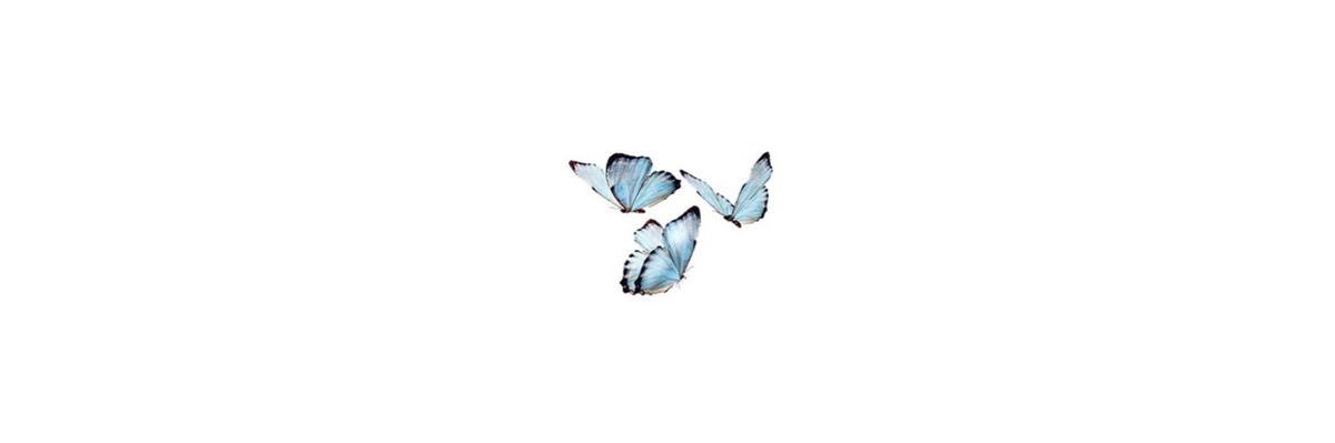 wcnderdaya's profile banner image