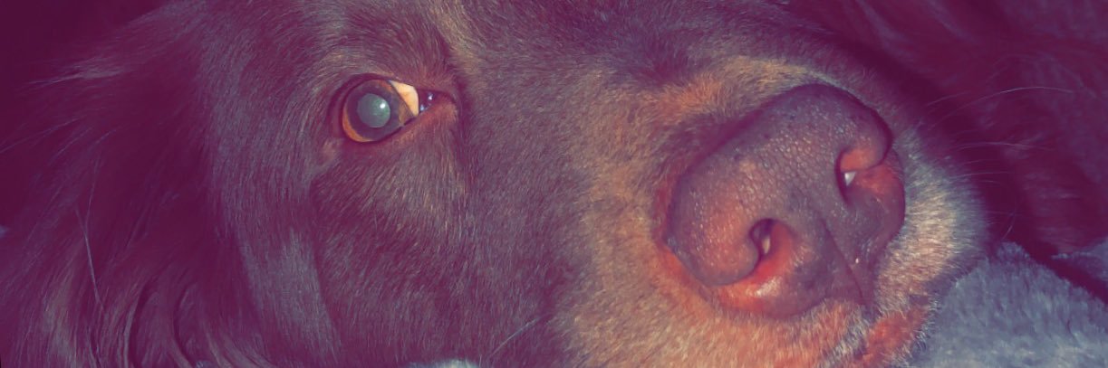 TayDix_'s profile banner image