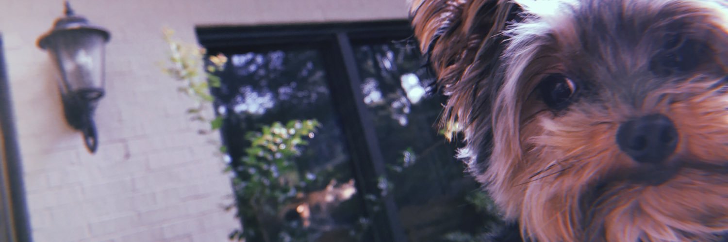 araybay's profile banner image
