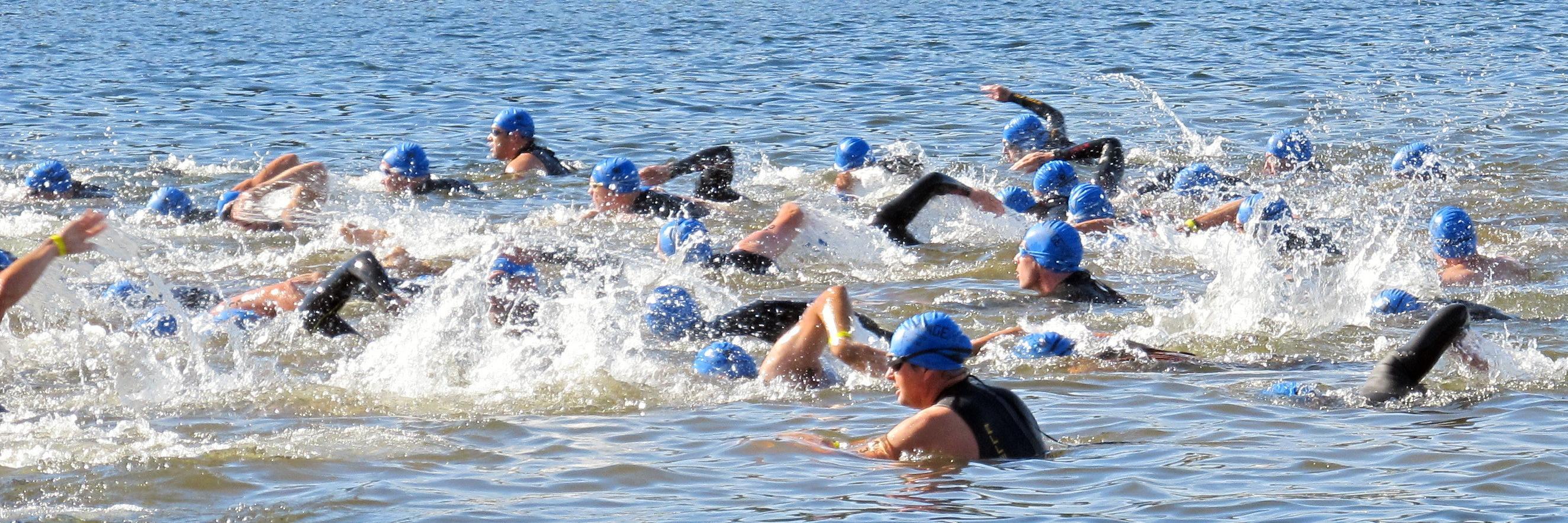 Timothy Willis banner