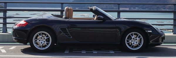 987type_boxer6 Profile Banner