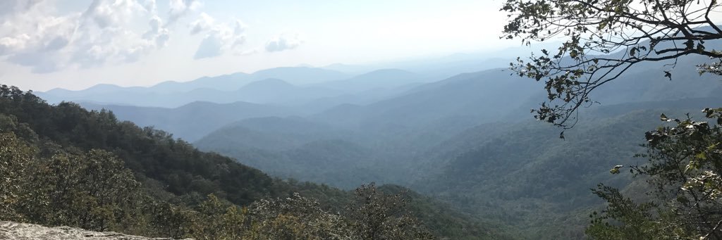 elyse_beecham's profile banner image