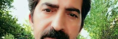 Elle. Boland. banner