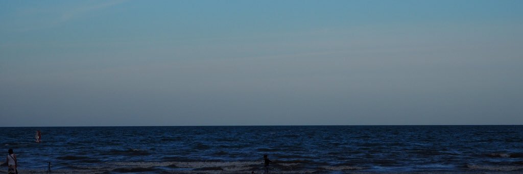 nettlelaze's profile banner image