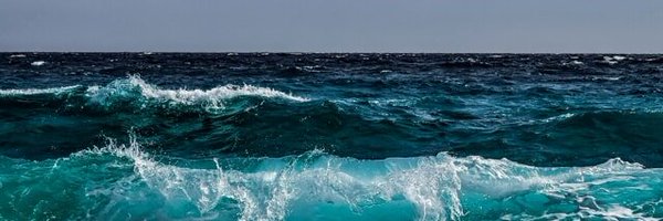riskiomap Profile Banner
