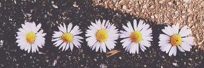 AmberRPGHT2's profile banner image